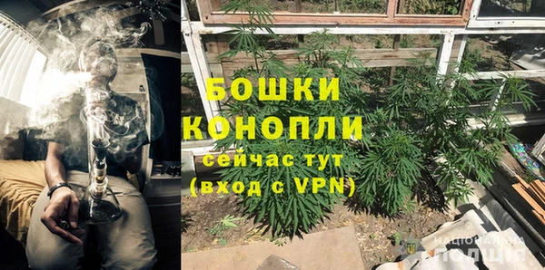 шишки Алексеевка