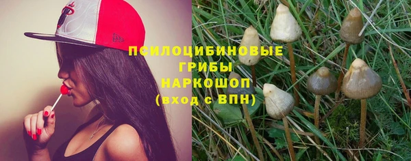 шишки Алексеевка