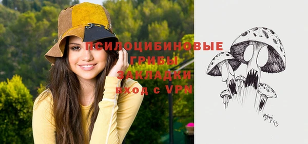 mix Алексин