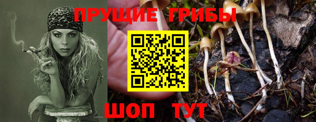 сколько стоит  Псилоцибиновые грибы MAGIC MUSHROOMS  Псилоцибиновые грибы ЛСД  Вход с VPN  Белорецк 