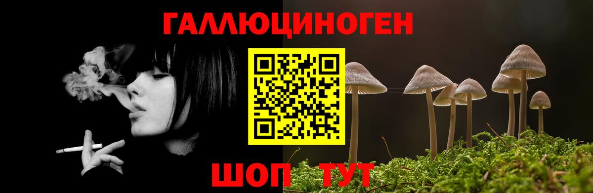 Псилоцибиновые грибы Psilocybine cubensis Белорецк